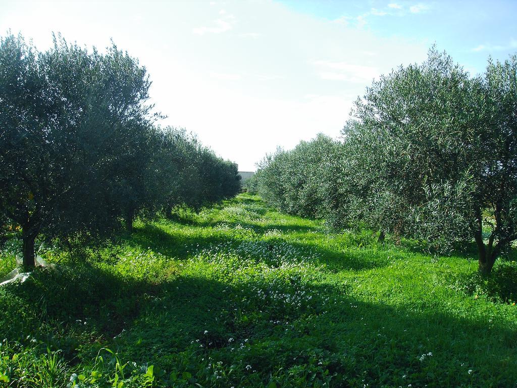 Penzion Casale Stagnone Marsala Exteriér fotografie