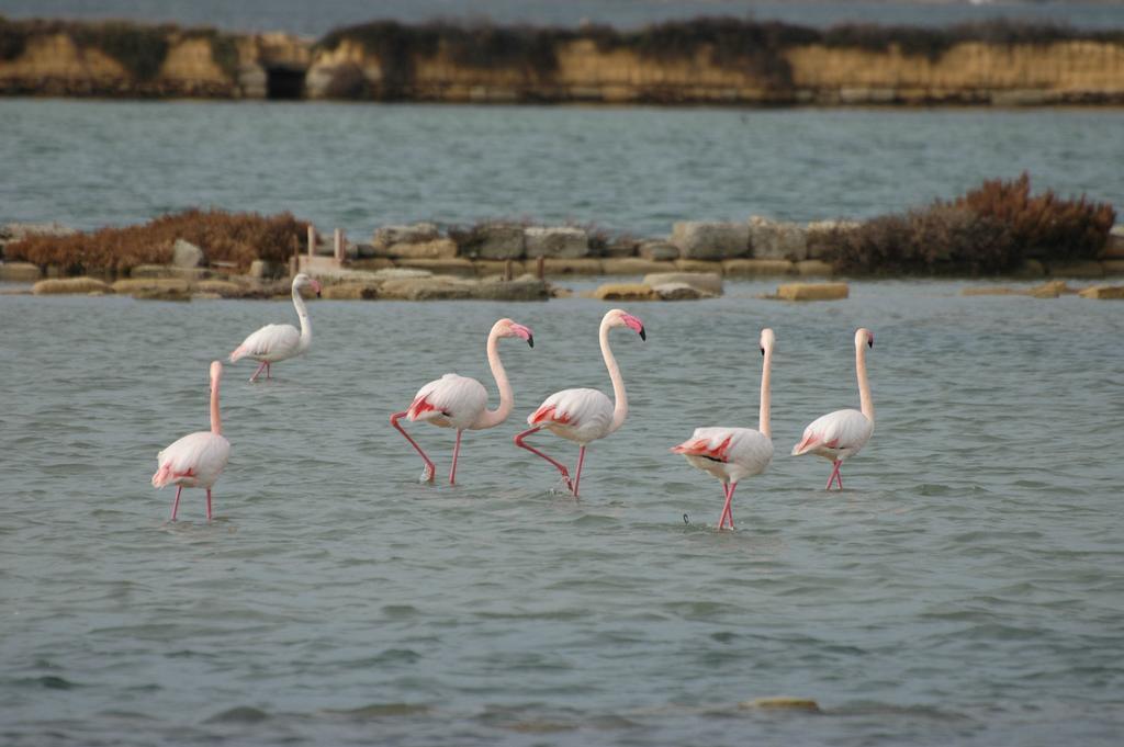 Penzion Casale Stagnone Marsala Exteriér fotografie